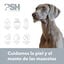 PSH Sensitive Champô para cães e gatos, , large Indicador imagem número 4