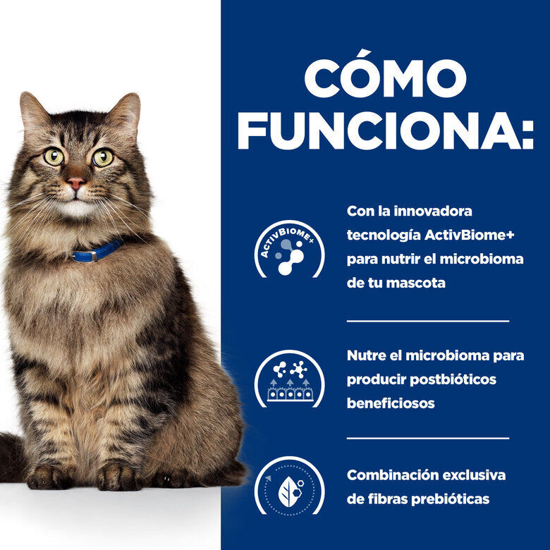 12 saquetas x 85 g Hill's Prescription Diet Feline GI Biome Digestive Care Frango e Legumes em molho Saqueta, , large Imagem n&uacute;mero 2