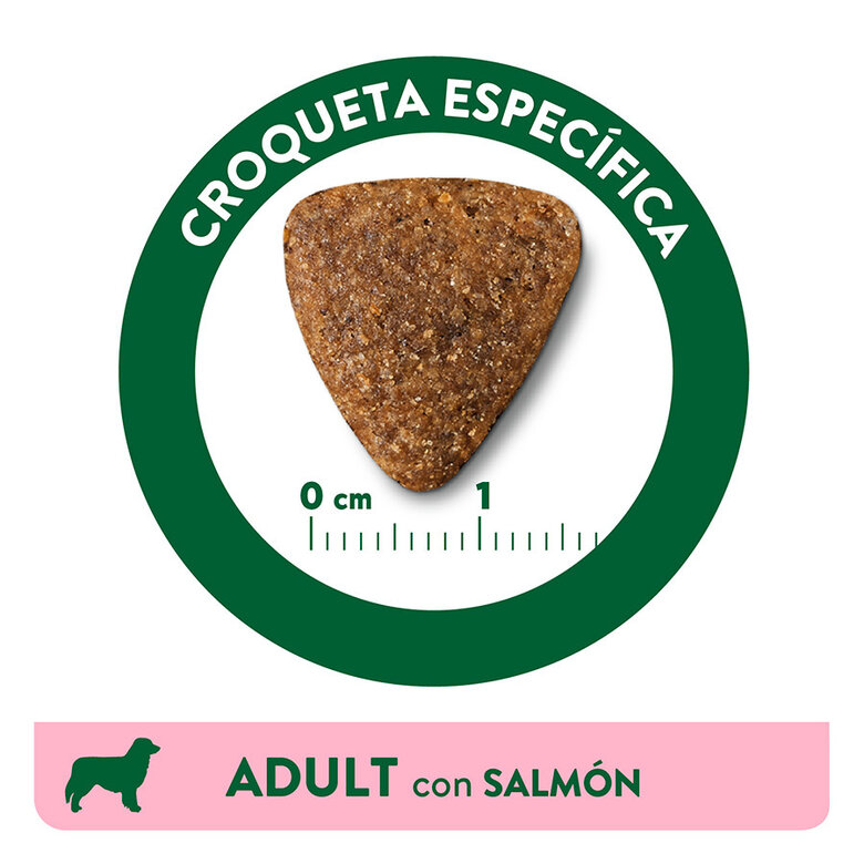 Affinity Libra Adult salmão ração para cães, , large image number null