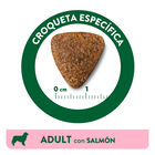 Affinity Libra Adult salmão ração para cães, , large image number null