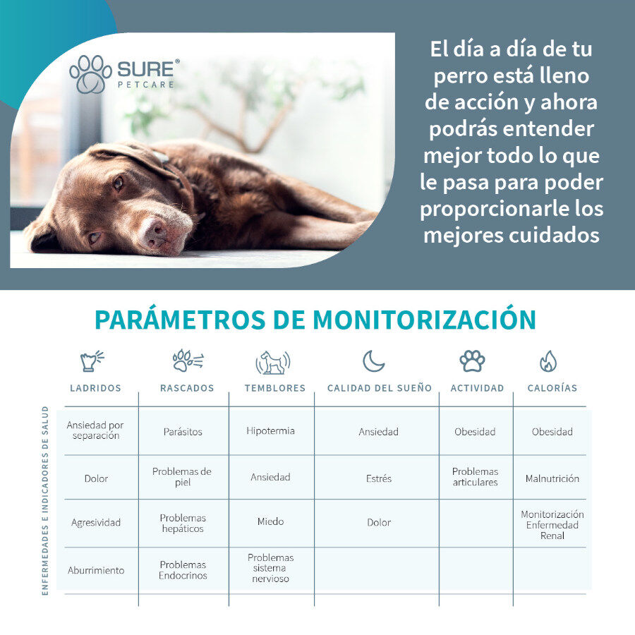 Sure Petcare Animo Monitor comportamental para c&atilde;es, , large Imagem n&uacute;mero 6
