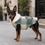 Gotoo Casaco Tartan com Capuz para c&atilde;es, , large Indicador imagem n&uacute;mero 1