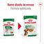85 g Royal Canin Mini Adult saqueta em molho para cães, , large Indicador imagem número 2