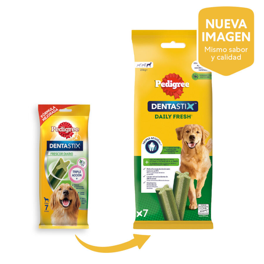 7 sticks Pedigree Dentastix Fresh Snacks Dent&aacute;rios para C&atilde;es Grandes, , large Imagem n&uacute;mero 2