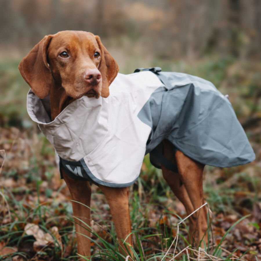 Non-stop Dogwear Capa de Chuva Imperme&aacute;vel Cinzenta para c&atilde;es, , large Imagem n&uacute;mero 2
