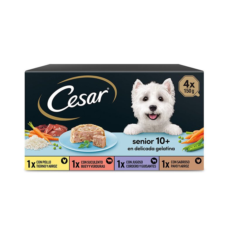 4 terrinas x 150 g Cesar Mistura de Carnes Terrina em Geleia para Cães Sénior - Multipack,  Imagem número 1 4 terrinas x 150 g Cesar Mistura de Carnes Terrina em Geleia para Cães Sénior - Multipack, , large Imagem número 1