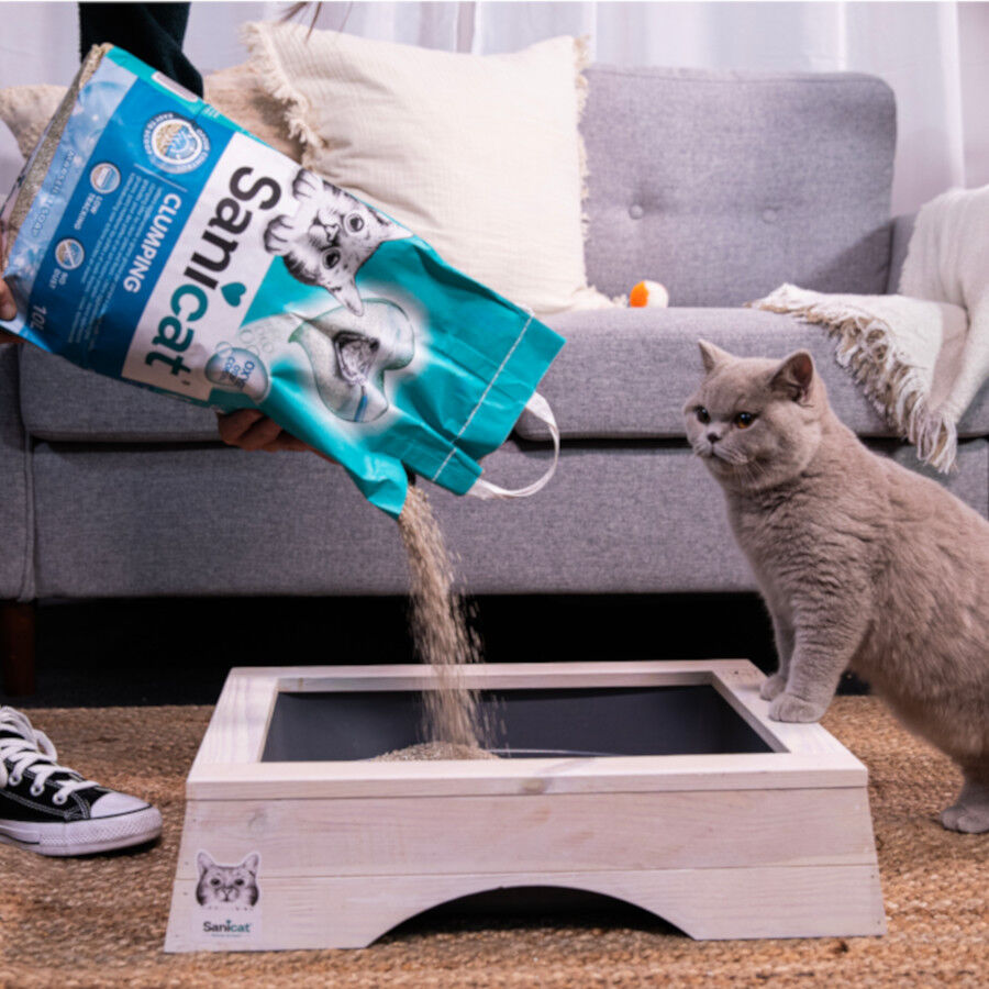 10 L Sanicat Marselha Areia Aglomerante para gatos, , large Imagem n&uacute;mero 4