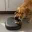 All For Paws Lifestyle Comedouro autom&aacute;tico preto para c&atilde;es e gatos, , large Indicador imagem n&uacute;mero 1