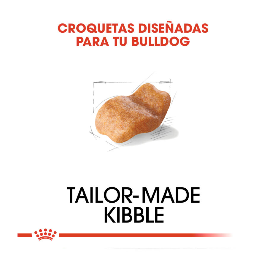12 kg Royal Canin Adult Bulldog ra&ccedil;&atilde;o para c&atilde;es de ra&ccedil;a, , large Imagem n&uacute;mero 5