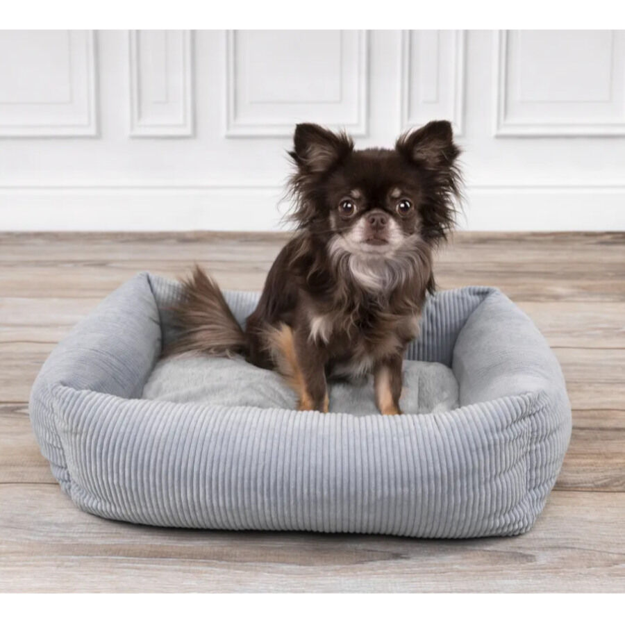 Flamingo Colette Retangular Azul cama alcofa para c&atilde;es, , large Imagem n&uacute;mero 3