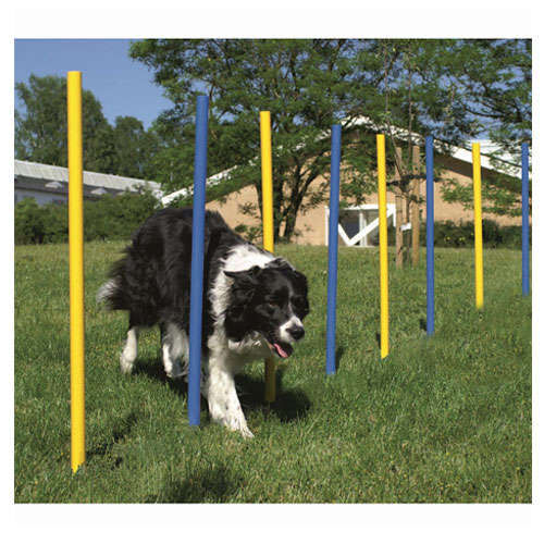 Ribecan slalom barras en zigzag para perros Imagem n&uacute;mero 1