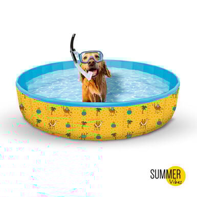 Summer Vibes Piscina para cães