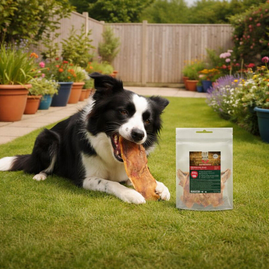 True Origins Wild Tiras de Caravaca Snack para c&atilde;es, , large Imagem n&uacute;mero 1