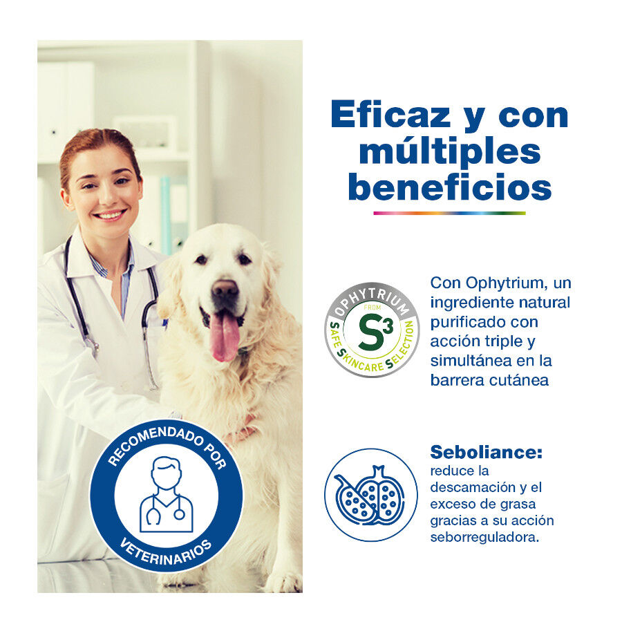 Douxo S3 Seb Shampoo Pele Oleosa para c&atilde;es e gatos , , large Imagem n&uacute;mero 4