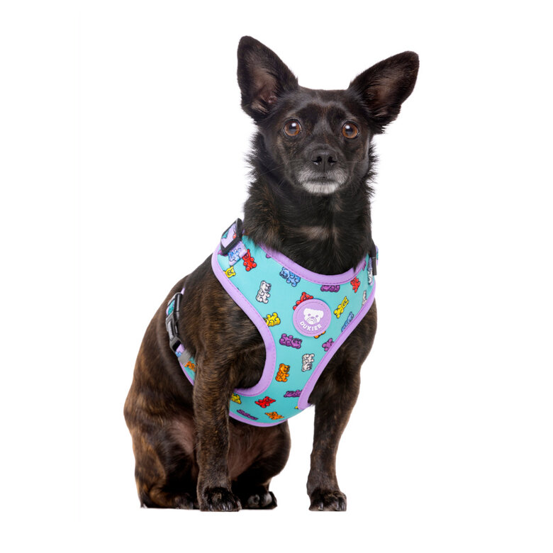 Dukier Gummy Bears Peitoral Ajustável para cães ,  Imagem número 2 Dukier Gummy Bears Peitoral Ajustável para cães , , large Imagem número 2