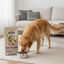 12 kg 12 Dibaq Sense Low Grain Adult Maxi Ra&ccedil;&atilde;o de peru para c&atilde;es, , large Indicador imagem n&uacute;mero 5