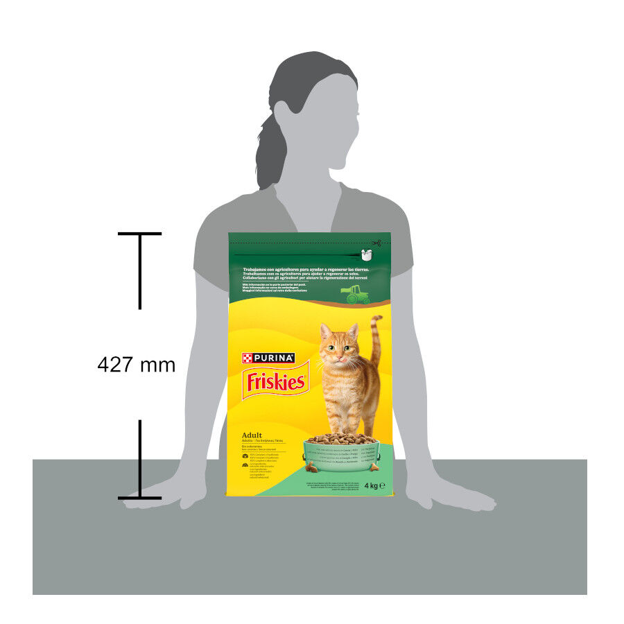 4 kg Friskies Coelho e Frango ra&ccedil;&atilde;o para gatos, , large Imagem n&uacute;mero 7