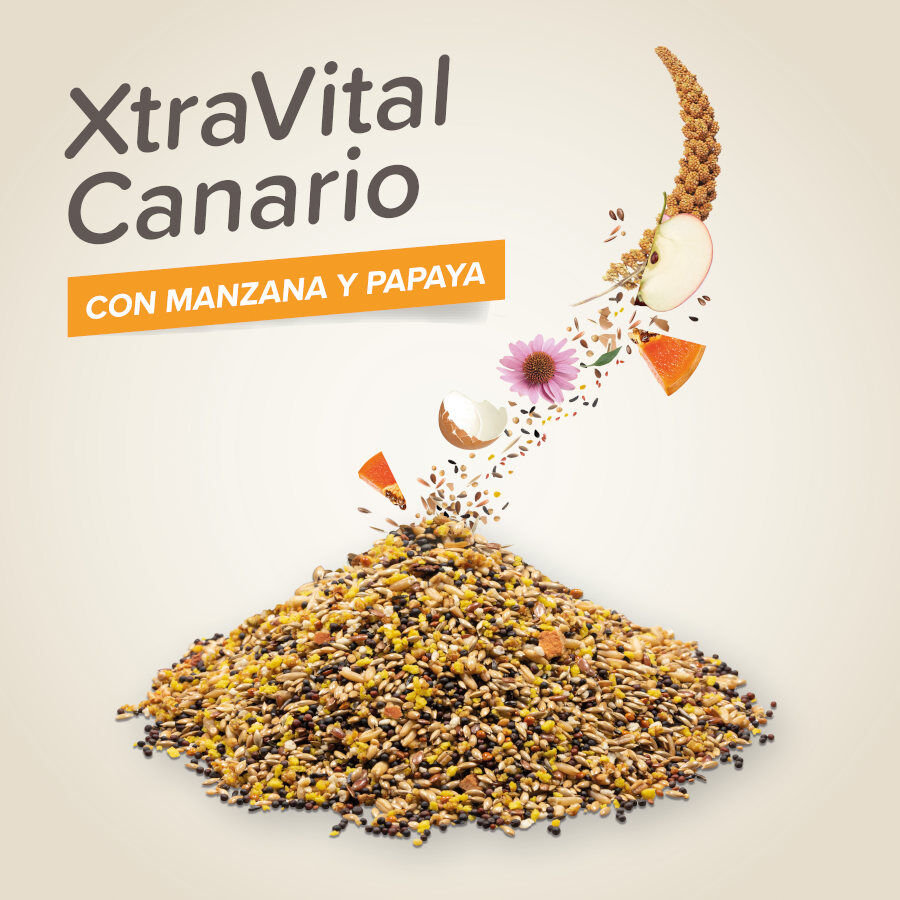 Comida para p&aacute;ssaros Beaphar XtraVital Premium Can&aacute;rios, , large Imagem n&uacute;mero 3