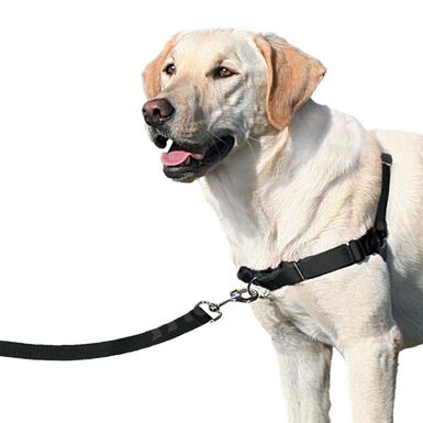 Nayeco Easy Walk Arnês Preto para cães