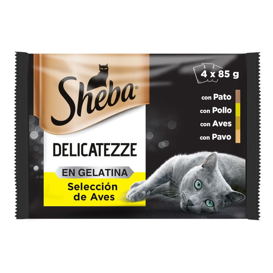 4 saquetas x 85 g Sheba Delicatezze Aves Geleia em Saqueta para Gatos - Multipack, , large Imagem n&uacute;mero 1