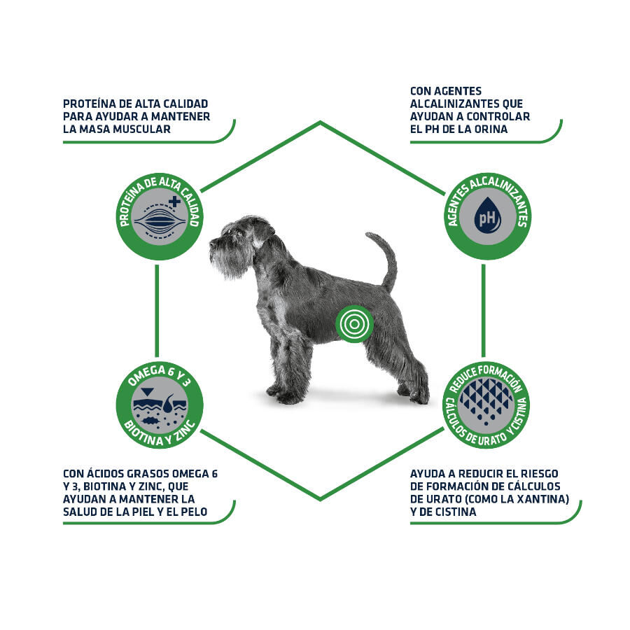 12 kg Advance Urinary Low Purine ra&ccedil;&atilde;o para c&atilde;es, , large Imagem n&uacute;mero 3