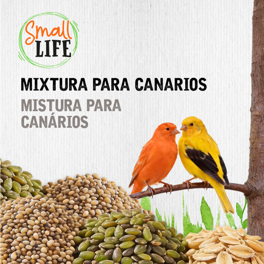 3.7 kg Small Life Mixtura Cubos para canarios, , large Imagem n&uacute;mero 3