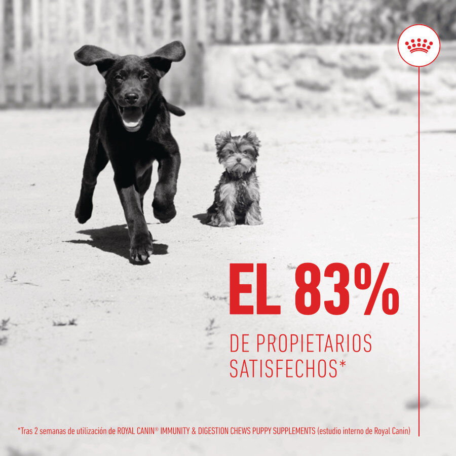 100 g Royal Canin Immunity & Digestion Chews Puppy Suplemento Nutricional para C&atilde;es, , large Imagem n&uacute;mero 8