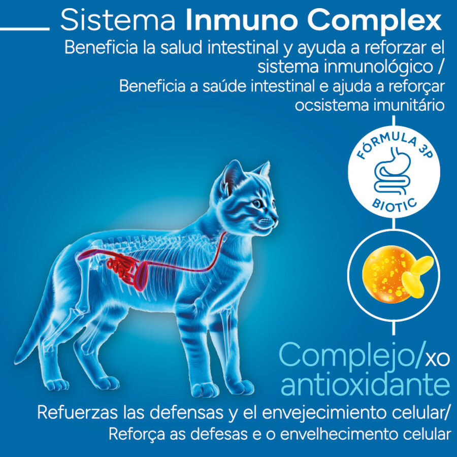 Criadores Cient&iacute;fico Kitten Ra&ccedil;&atilde;o de frango para gatinhos, , large Imagem n&uacute;mero 3