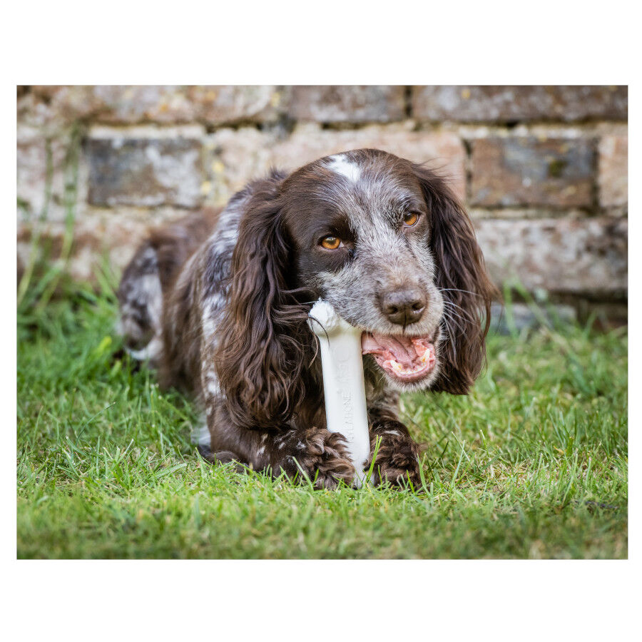 Nylabone Dura Chew Wolf osso mordedor de nylon para c&atilde;es , , large Imagem n&uacute;mero 3