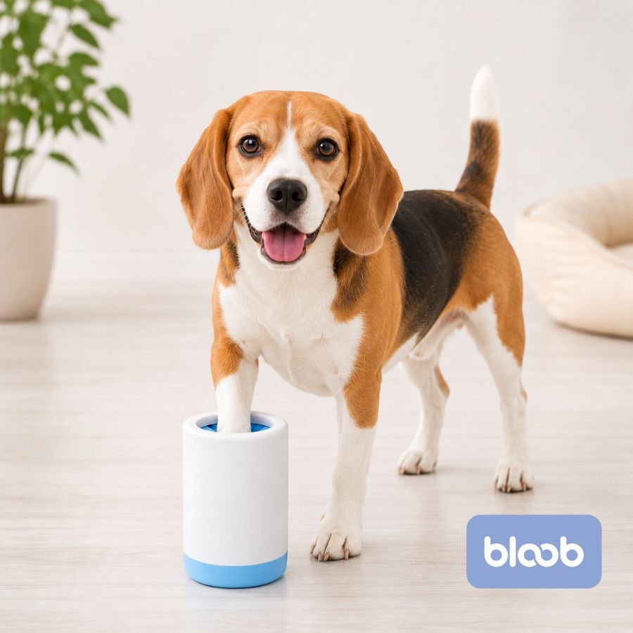 Bloob Limpador de patas para c&atilde;es, , large Imagem n&uacute;mero 2