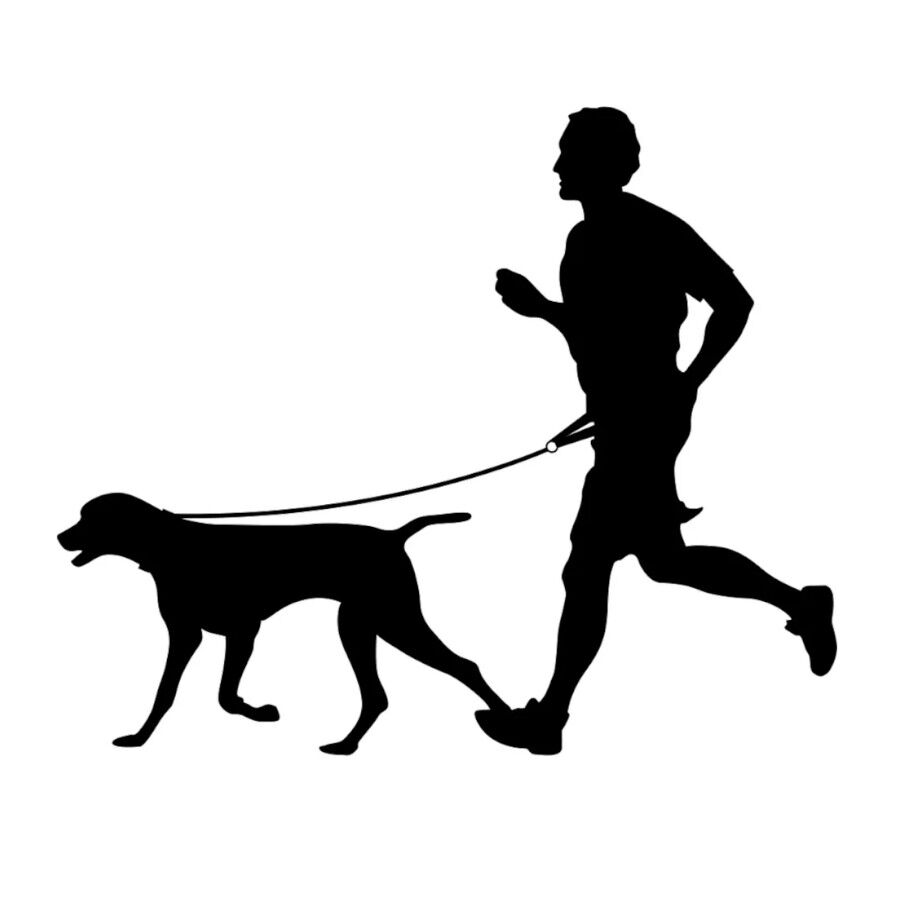 Flamingo Trela Canicross Amarela Fluorescente para c&atilde;es, , large Imagem n&uacute;mero 3