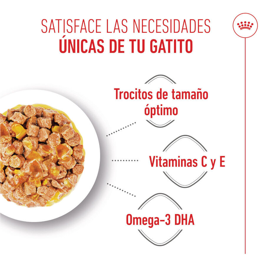 85 g Royal Canin Kitten alimento h&uacute;mido em gelatina saquetas para gatinhos, , large Imagem n&uacute;mero 4