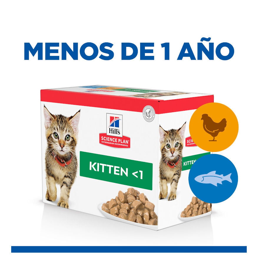 12 saquetas x 85 g Hill's Kittenn Science Plan Frango e Peixe saqueta para gatos - Multipack  12, , large Imagem n&uacute;mero 2