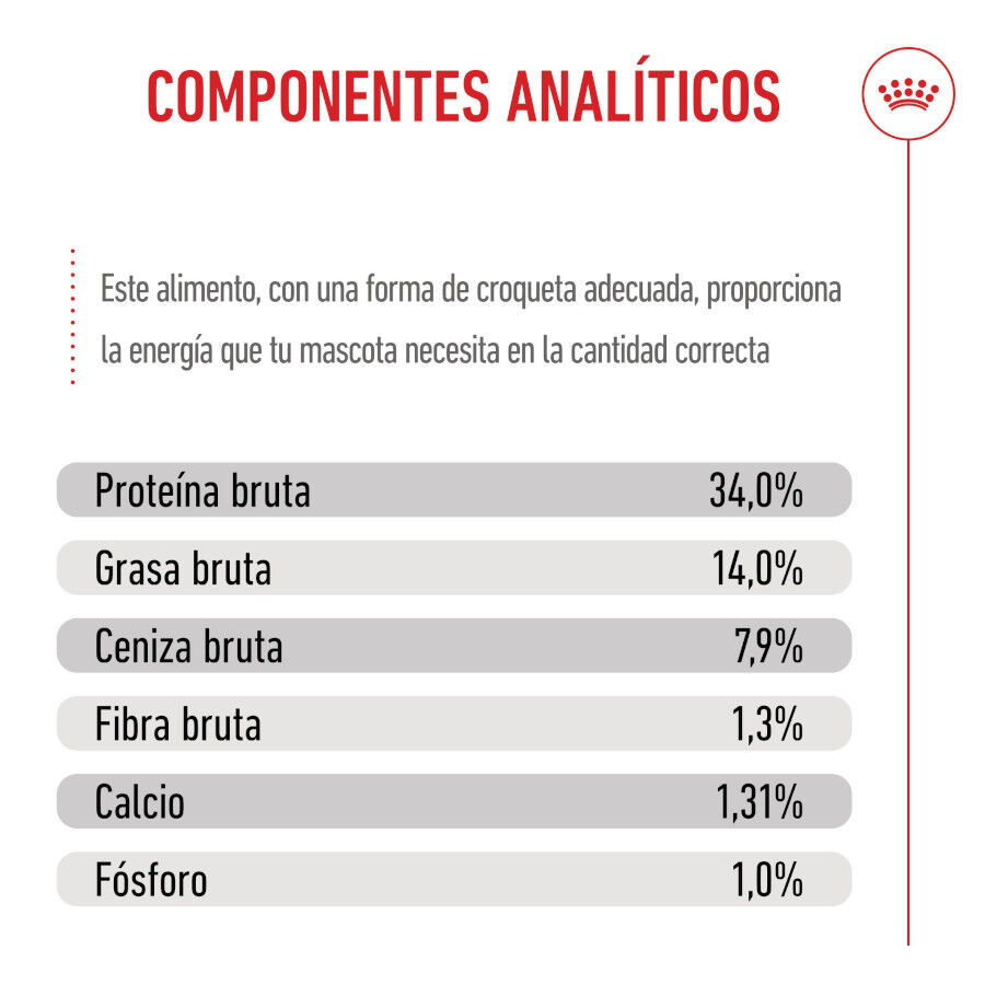 15 kg Royal Canin Puppy Giant ra&ccedil;&atilde;o para c&atilde;es, , large Imagem n&uacute;mero 7