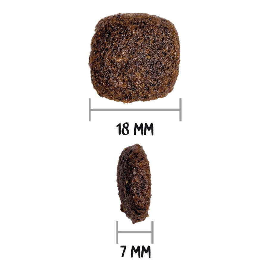 Ownat Ultra Medium Adult ra&ccedil;&atilde;o para c&atilde;es, , large Imagem n&uacute;mero 4