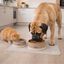 Leeby Tapete Antiderrapante para Comedouros de c&atilde;es e gatos, , large Indicador imagem n&uacute;mero 1