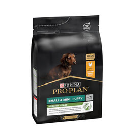 Pro Plan Puppy Small & Mini Healthy Start Frango ração