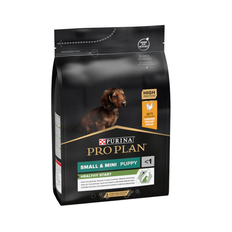 Pro Plan Puppy Small e Mini Healthy Start Frango ração,  Imagem número 1 Pro Plan Puppy Small e Mini Healthy Start Frango ração, , large Imagem número 1