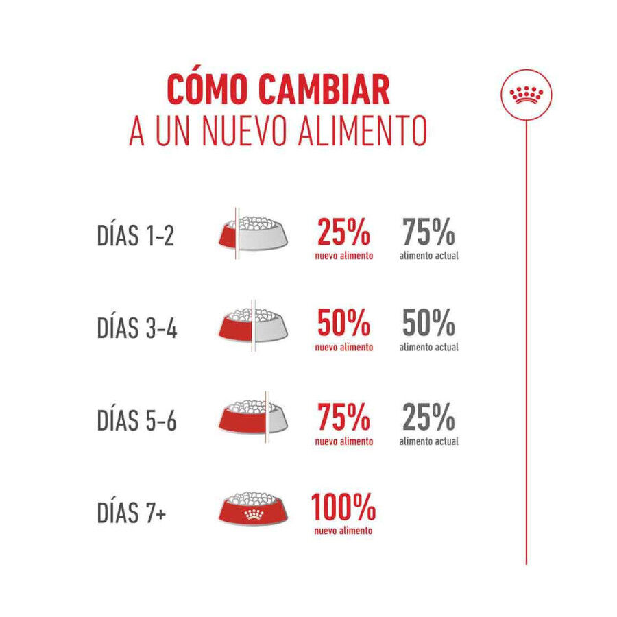 4 kg Royal Canin Ageing 11+ ra&ccedil;&atilde;o para gatos, , large Imagem n&uacute;mero 8