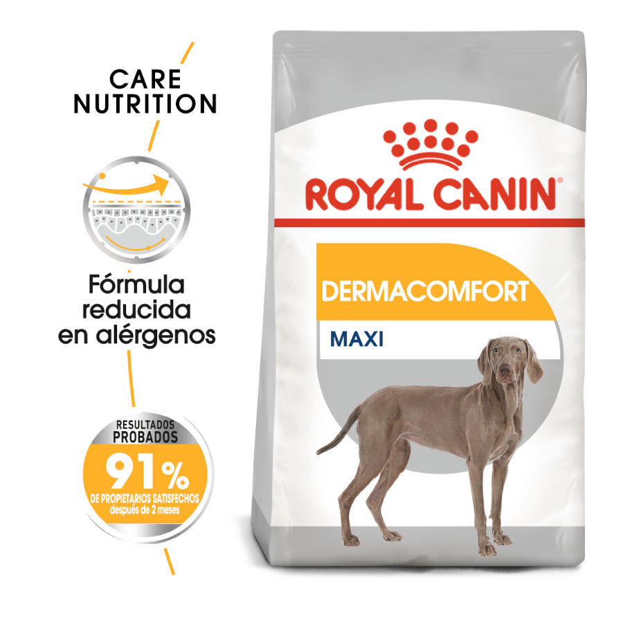 12 kg Royal Canin Maxi Dermacomfort ra&ccedil;&atilde;o para c&atilde;es, , large Imagem n&uacute;mero 2