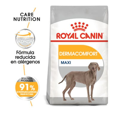 Royal Canin Maxi Dermacomfort ração para cães