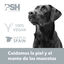 PSH Sky Pink Perfume para cães e gatos, , large Indicador imagem número 6