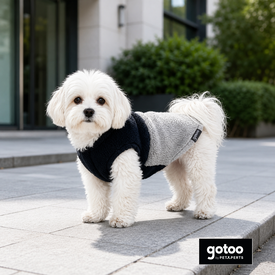 Gotoo Casaco Azul e Cinzento para c&atilde;es