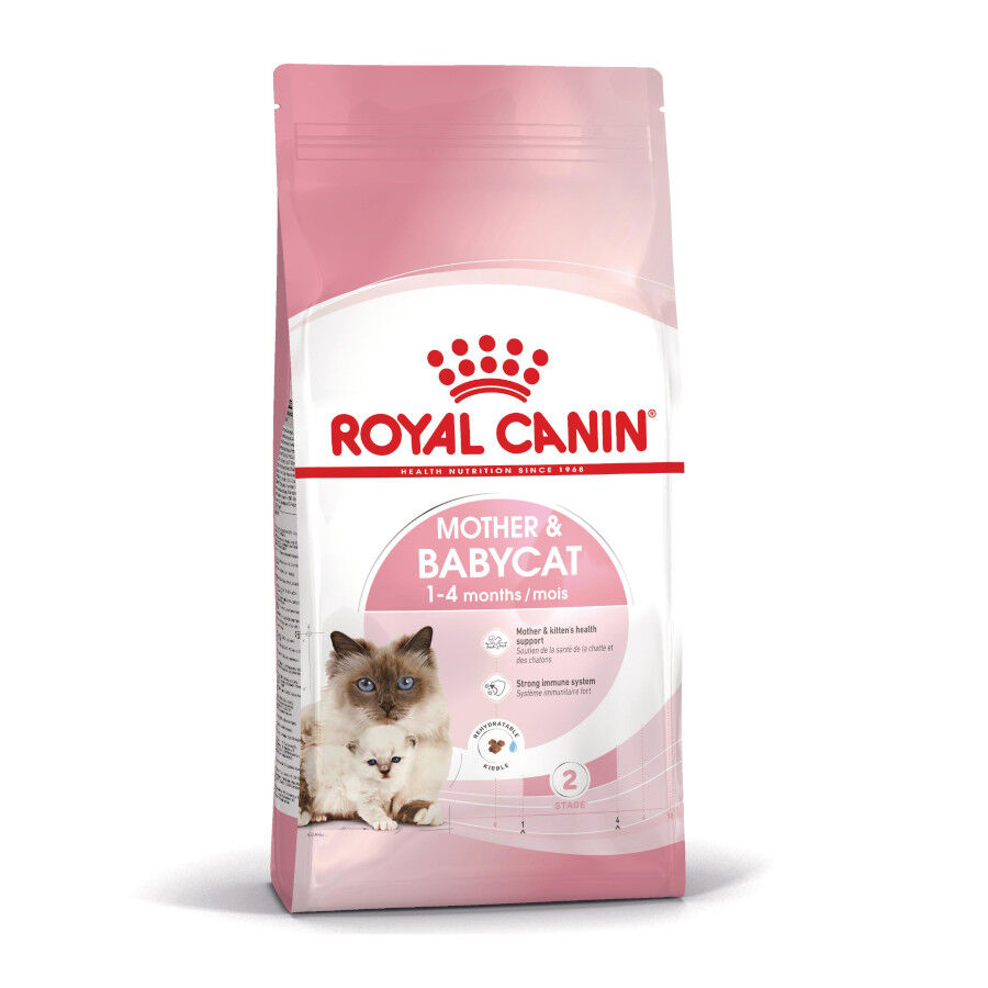 2 x 4 kg Royal Canin Mother & Baby ra&ccedil;&atilde;o para gatos Pack poupan&ccedil;a!, , large Imagem n&uacute;mero 1
