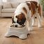Leeby Comedouro de Pl&aacute;stico Taupe para c&atilde;es, , large Indicador imagem n&uacute;mero 1