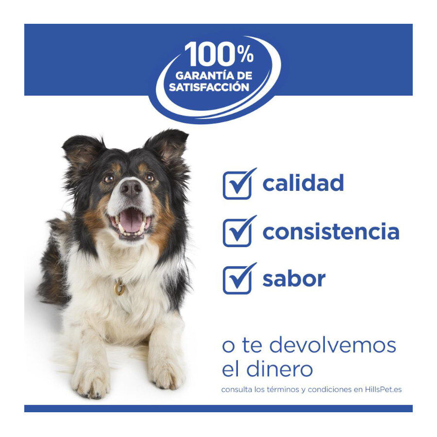 Hill's Science Plan Hipoalerg&eacute;nico Small e Mini Salm&atilde;o ra&ccedil;&atilde;o para c&atilde;es , , large Imagem n&uacute;mero 6