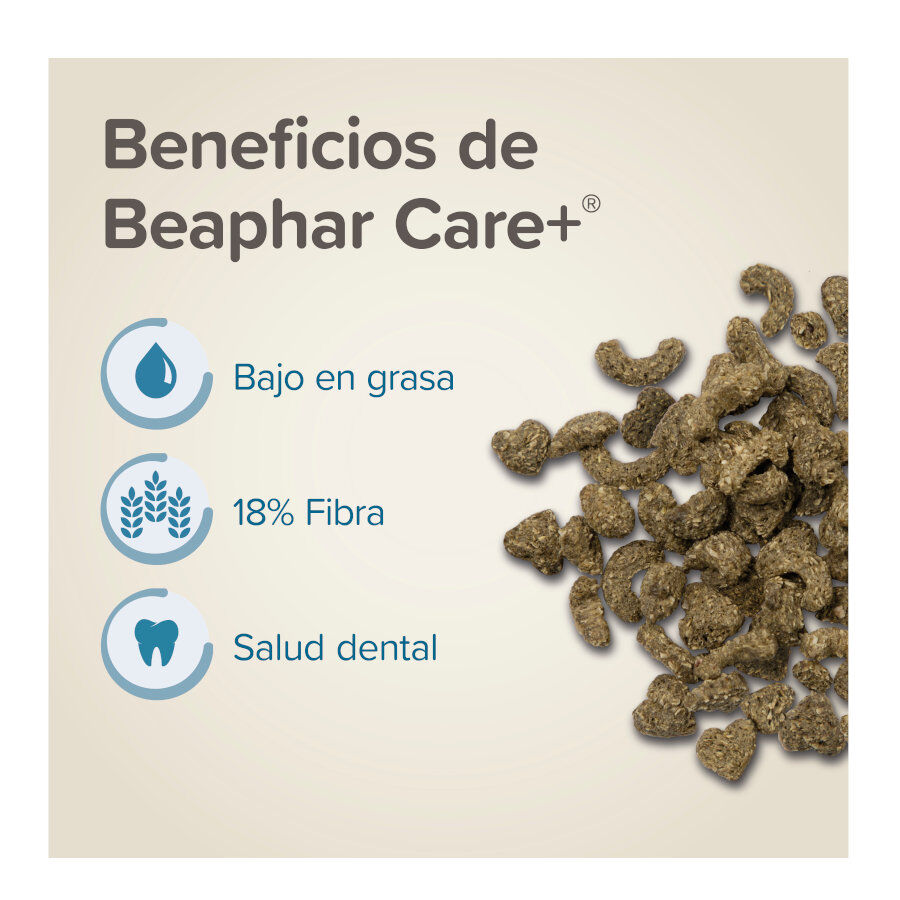 Beaphar Care+ Ra&ccedil;&atilde;o para degus, , large Imagem n&uacute;mero 3