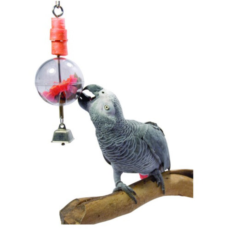 accesorios_pajaros_Sunparrots_juguete_con_pelota_para_loros_KINP611_M Imagem número 1 Sunparrots juguete con pelota para loros Imagem número 1