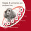 Beaphar Protectix Pipetas para cães, , large Indicador imagem número 4