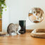 Cecotec Pumba 6000 Purrfect Meal Smart Vision Comedouro automático para cães e gatos, , large Indicador imagem número 10